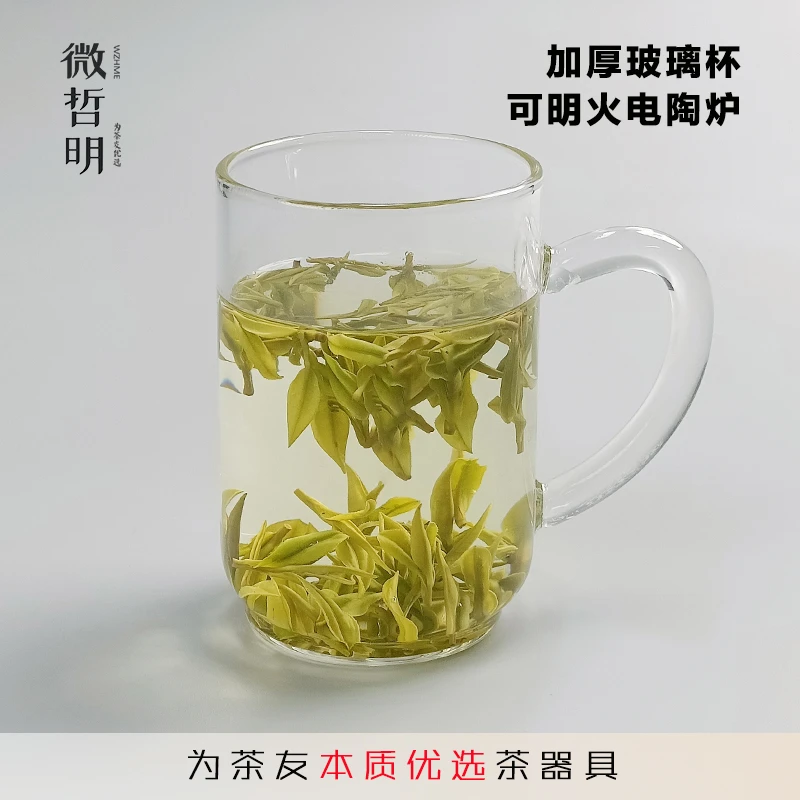 玻璃杯绿茶杯泡茶杯办公杯加厚耐热高硼硅玻璃大容量家用沏茶透明