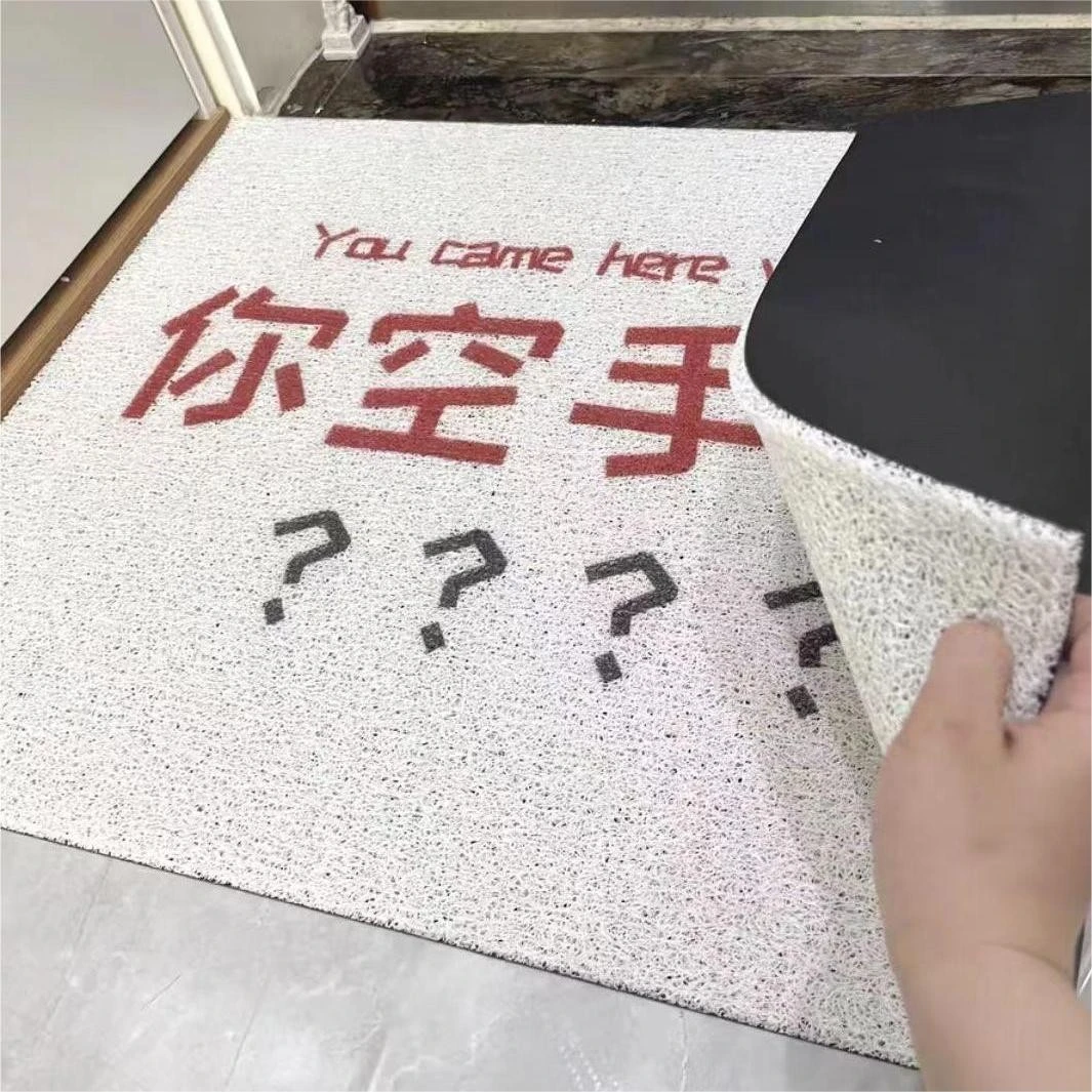 手来啊地垫2024新款丝圈防滑垫轻奢高级感客厅地毯门前脚踏垫2025