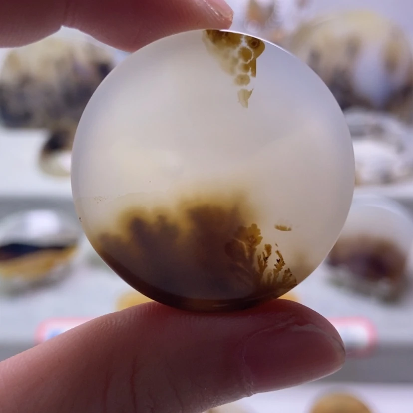 【闪购商品】未镶嵌玛瑙/玉髓珠宝奇石