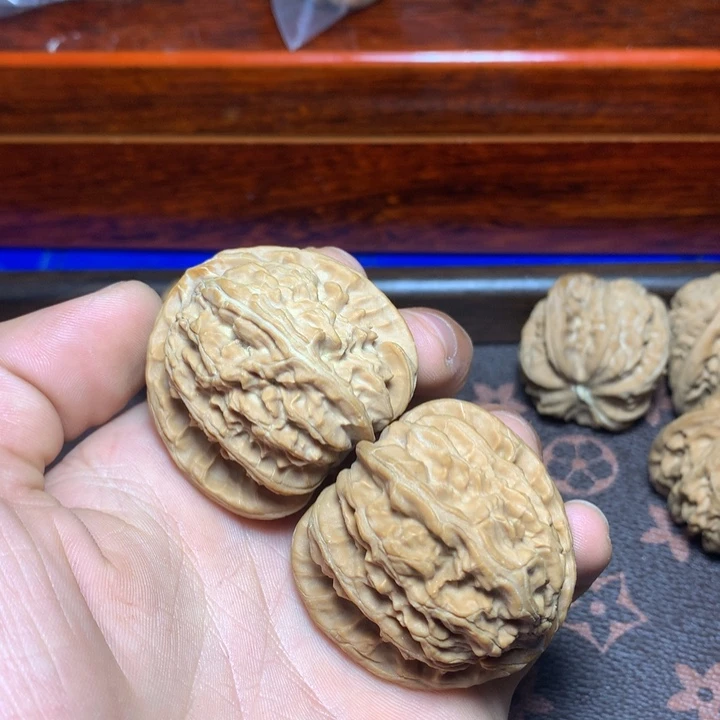 錯**ゞ白狮子111111111111