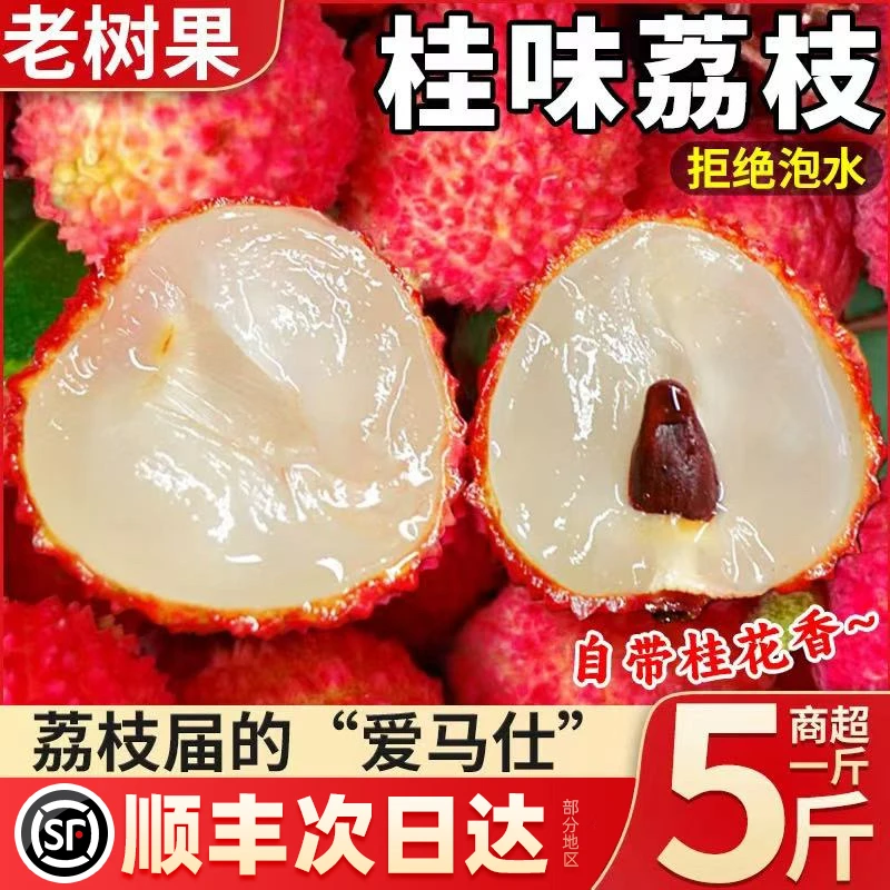 【5斤装】次日达茂名高州桂味荔枝新鲜现摘纯甜顺丰快递