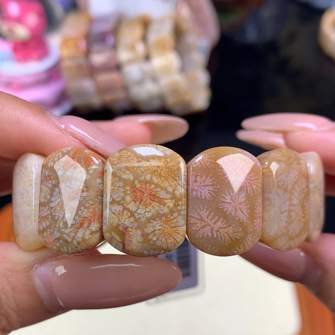 【闪购商品】颈饰未镶嵌硅化珊瑚（珊瑚玉）14号