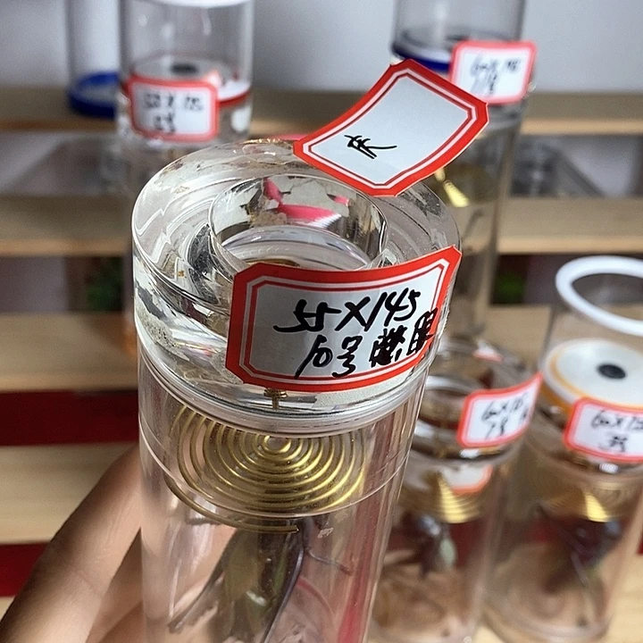 蟋蟀庆55-145单憋眼