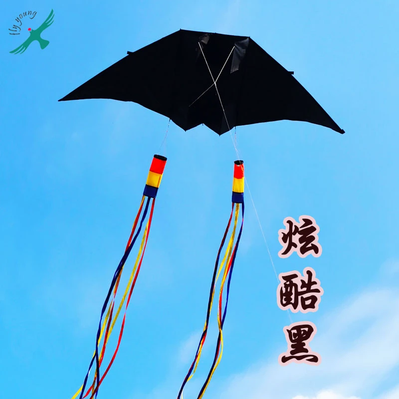 2025飞阳新款2.9米立体滑翔机风筝易飞抗大风大型高档成人初学者