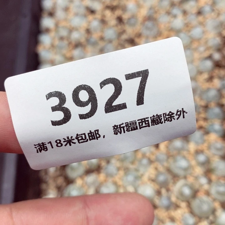 峯***子3927。