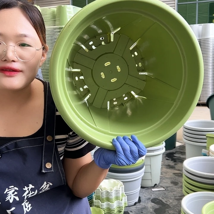 青山盆7#果绿色5个无托
