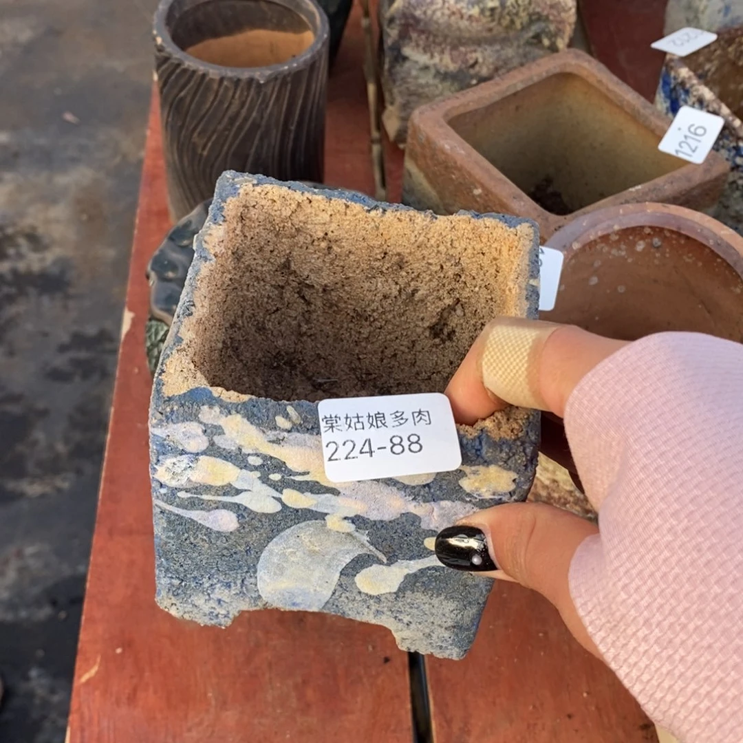 红陶࿐****88号一个