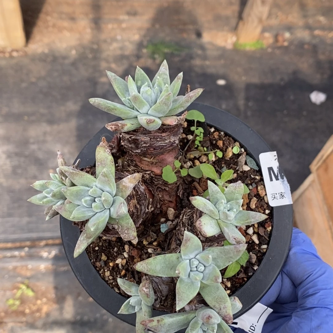 1964个哈哈哈哈哈哈