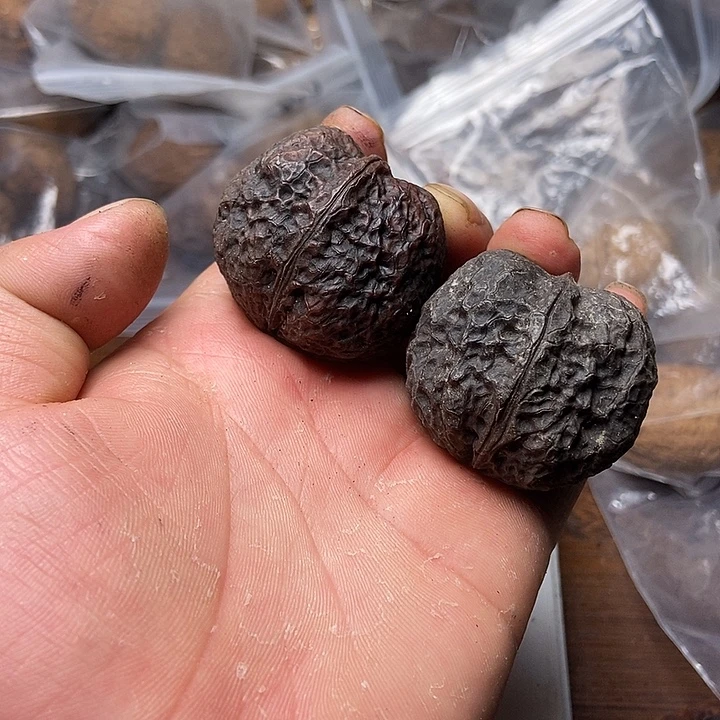 把件文玩核桃云南铁核桃炸福利直播间39号