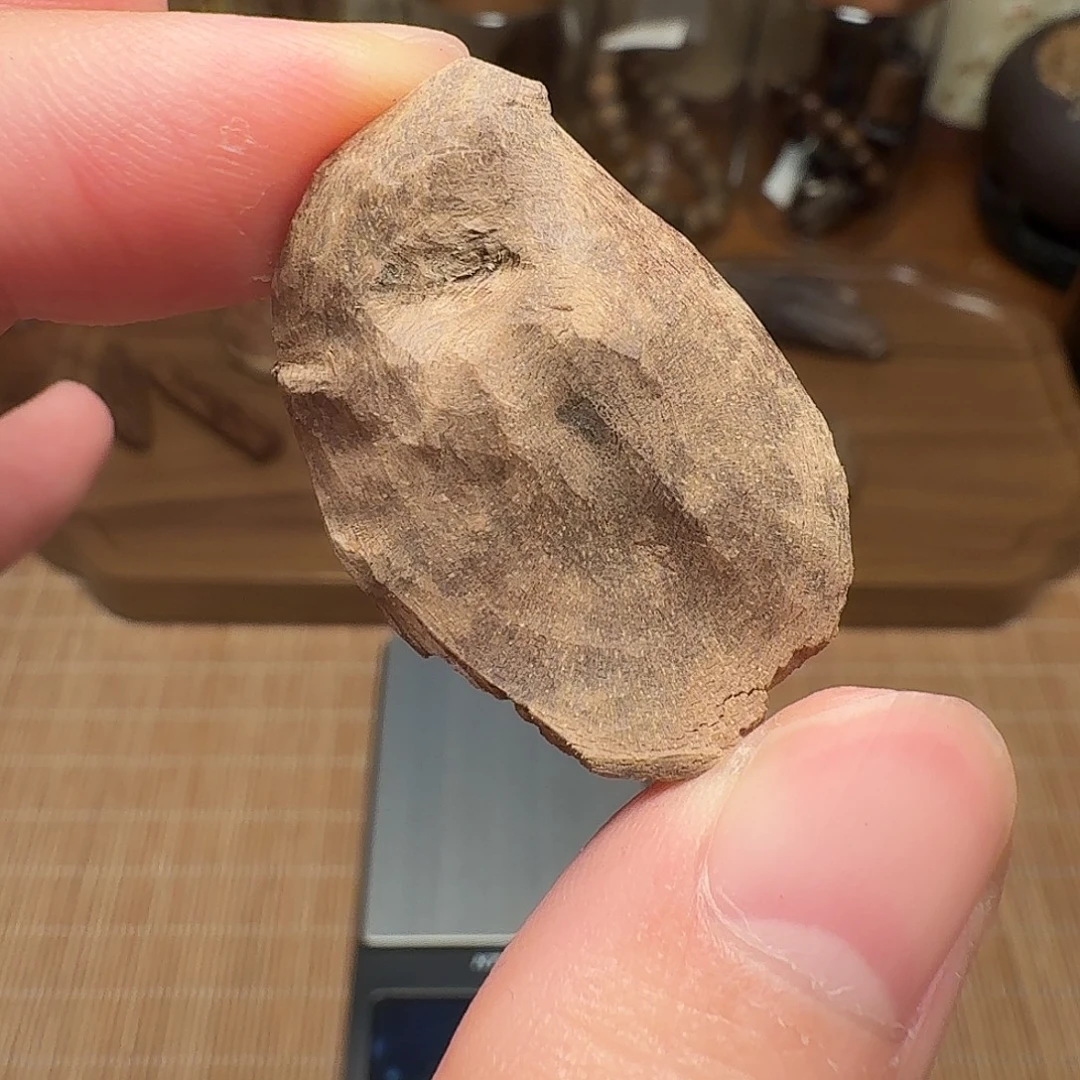 沉香老挝壳子料子