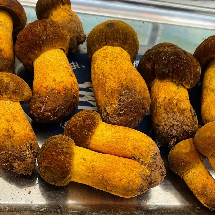 云南野生菌鲜货  黄牛肝  黄赖头  冷链包邮