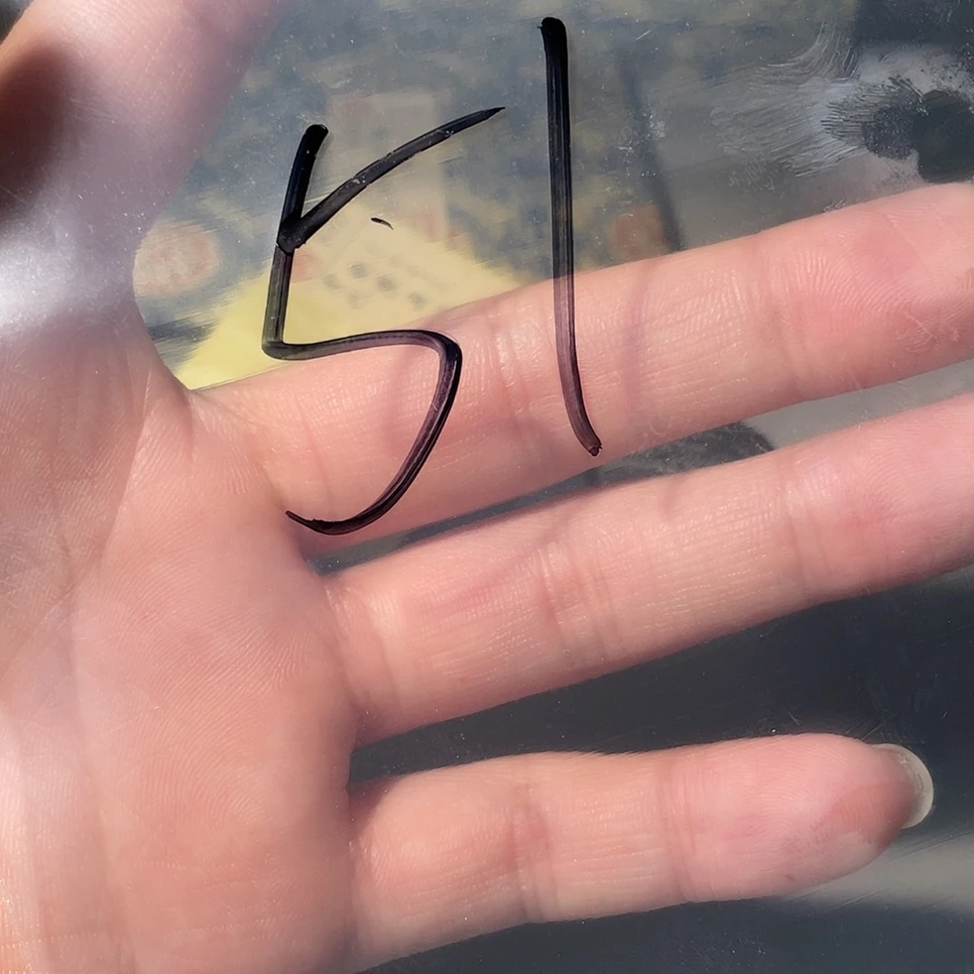 铜ღ****古钱币51号「悟泉」