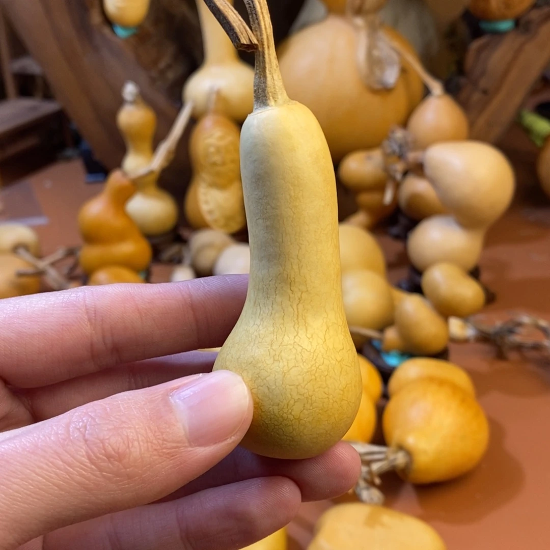 富***艺教练教练教练教练经理