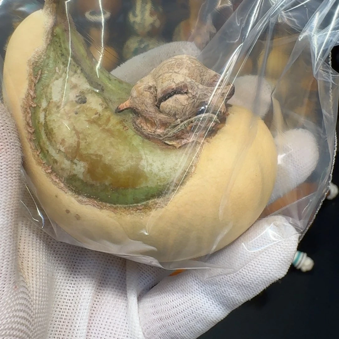 用***6葫芦葫芦888888888