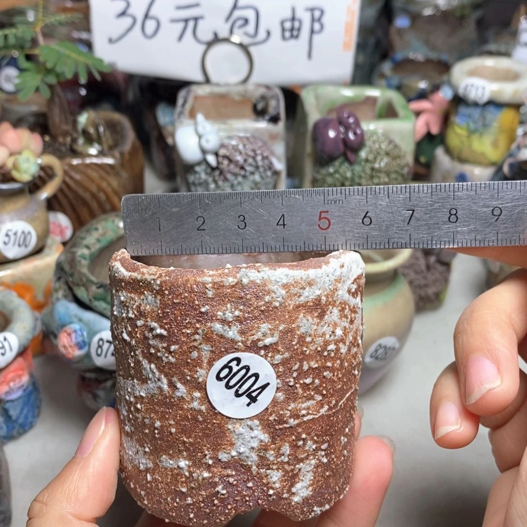 拍5送一个小礼物