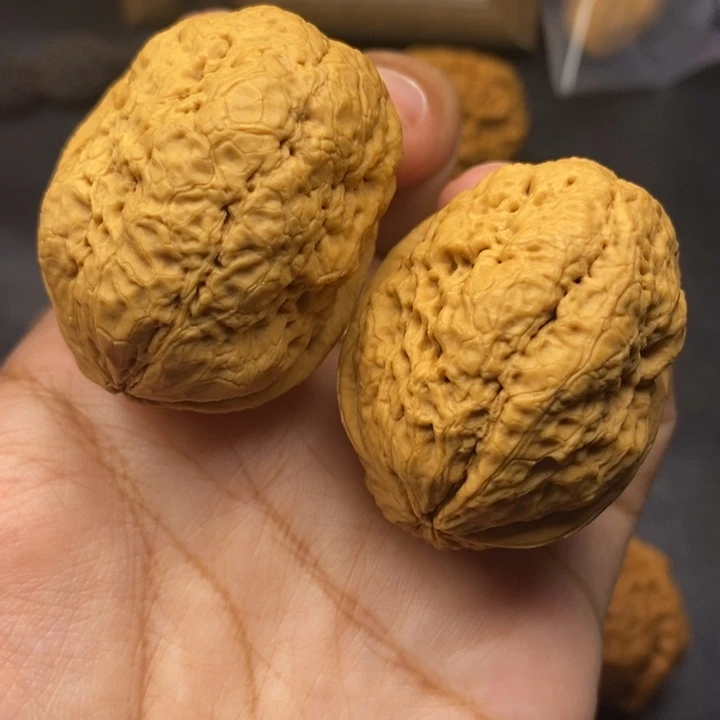 把件文玩核桃43尺脑纹金蟾