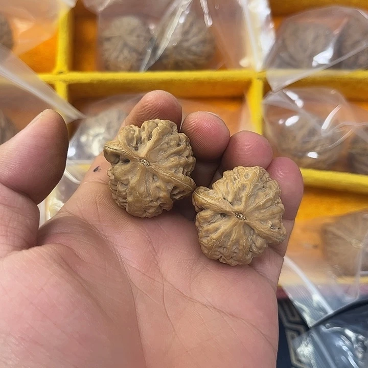全品无休红锦鲤核桃