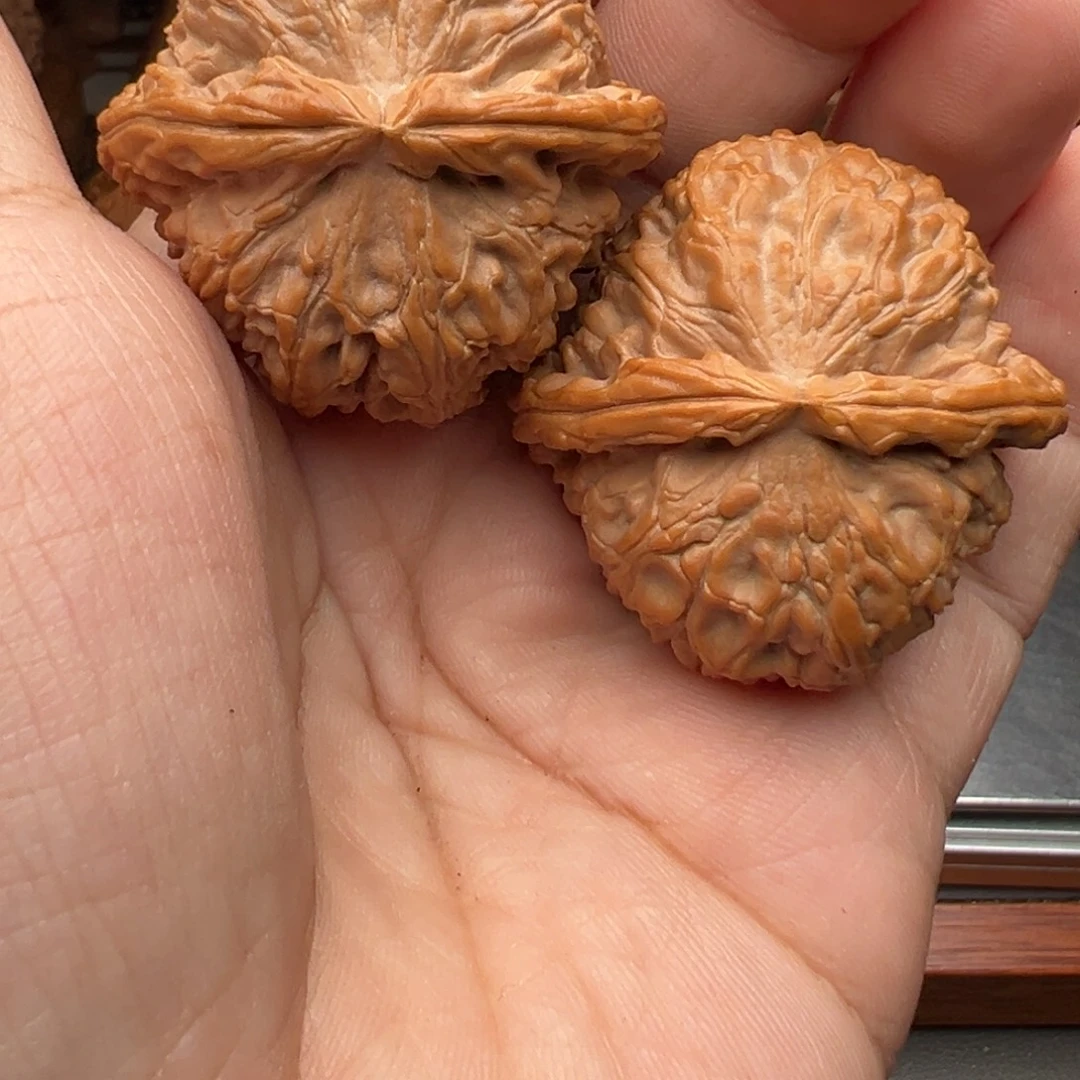 自***清把件文玩核桃白狮子