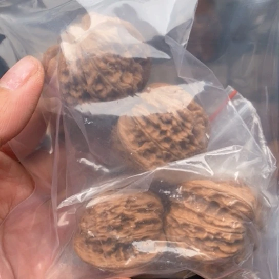 桃核吊坠八*～磨盘狮子头