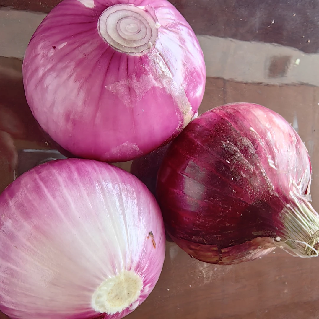 产地现挖多汁微甜紫皮红皮洋葱可凉拌