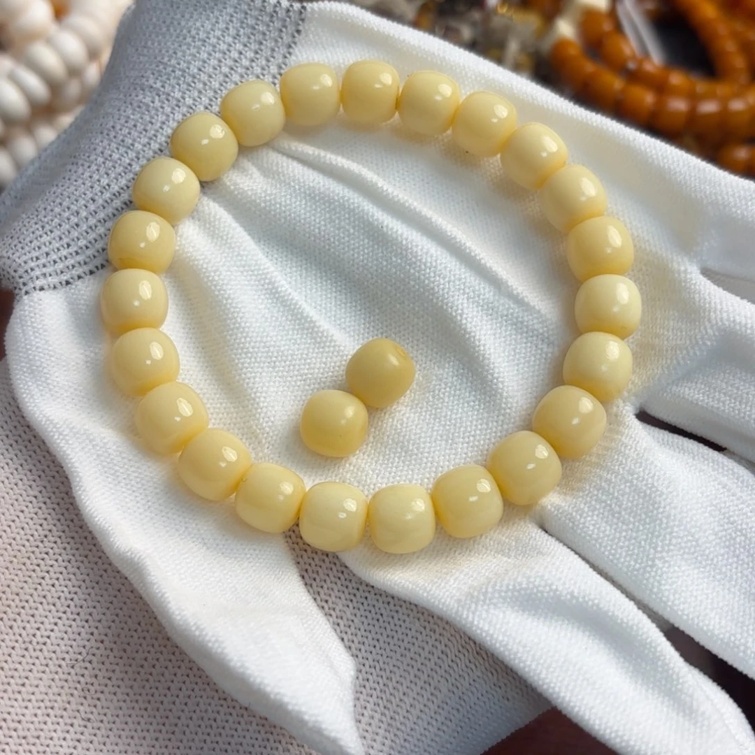 骆驼牙手串/手链骆驼牙