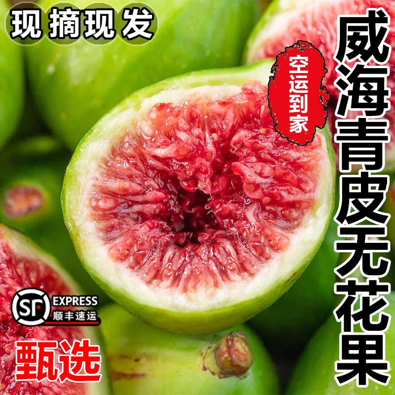 [顺丰空运包邮]山东威海青皮无花果新鲜当季水果树上糖包子绿皮果