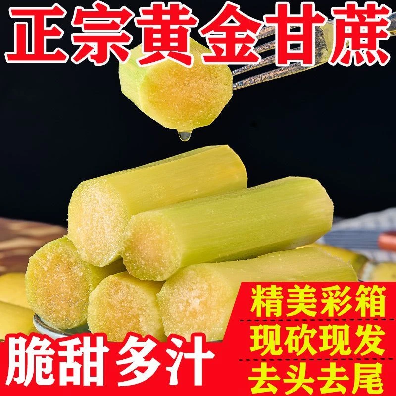 云南黄金甘蔗现砍现发新鲜应季水果清甜多汁肉厚皮薄ys