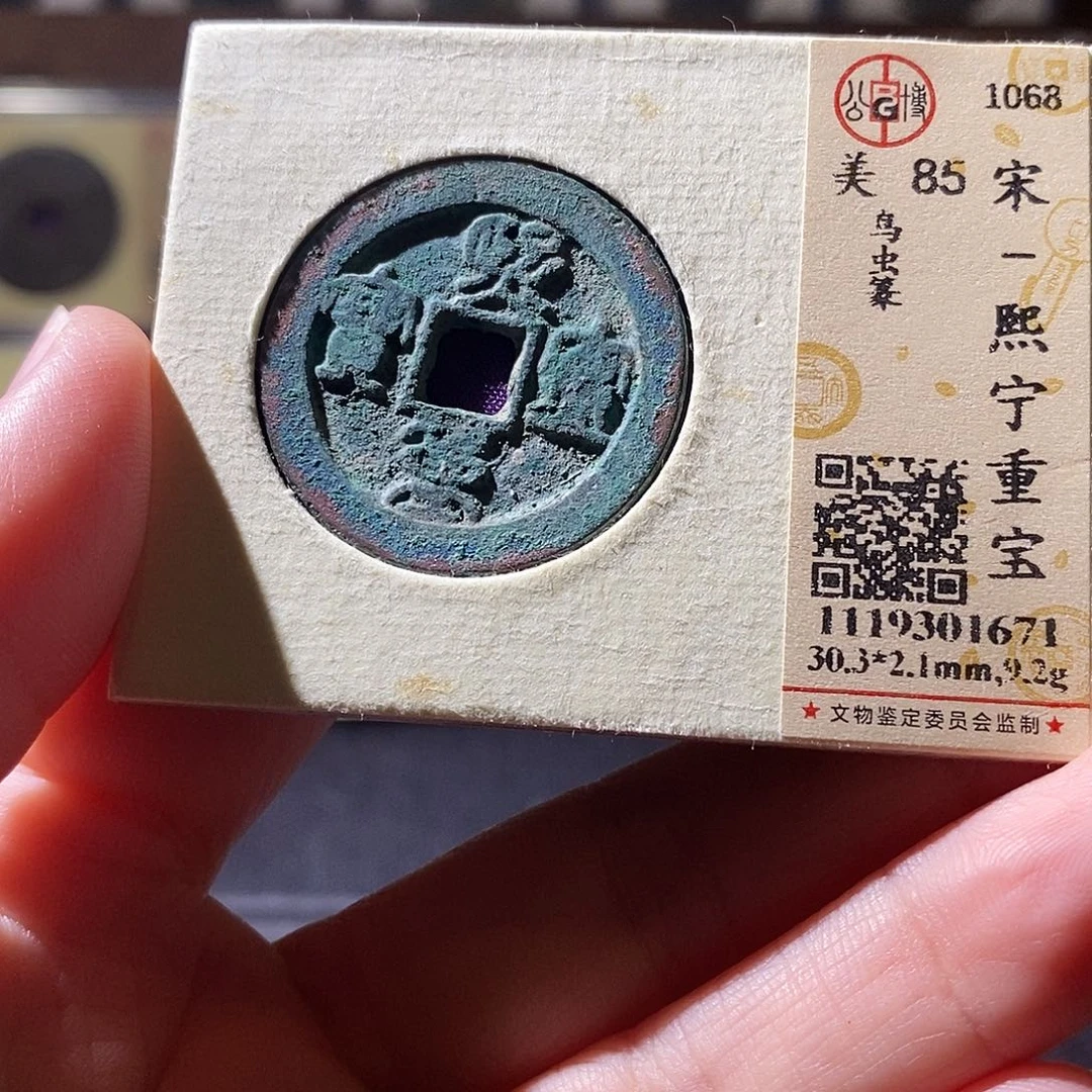 贝壳7 恭喜发财恭喜发财