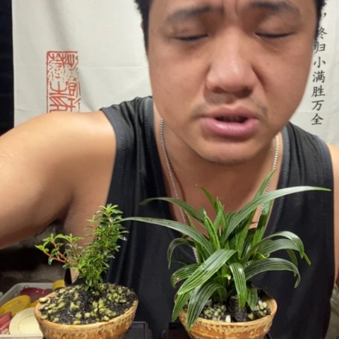 贝**姐一物一拍所见即所得110