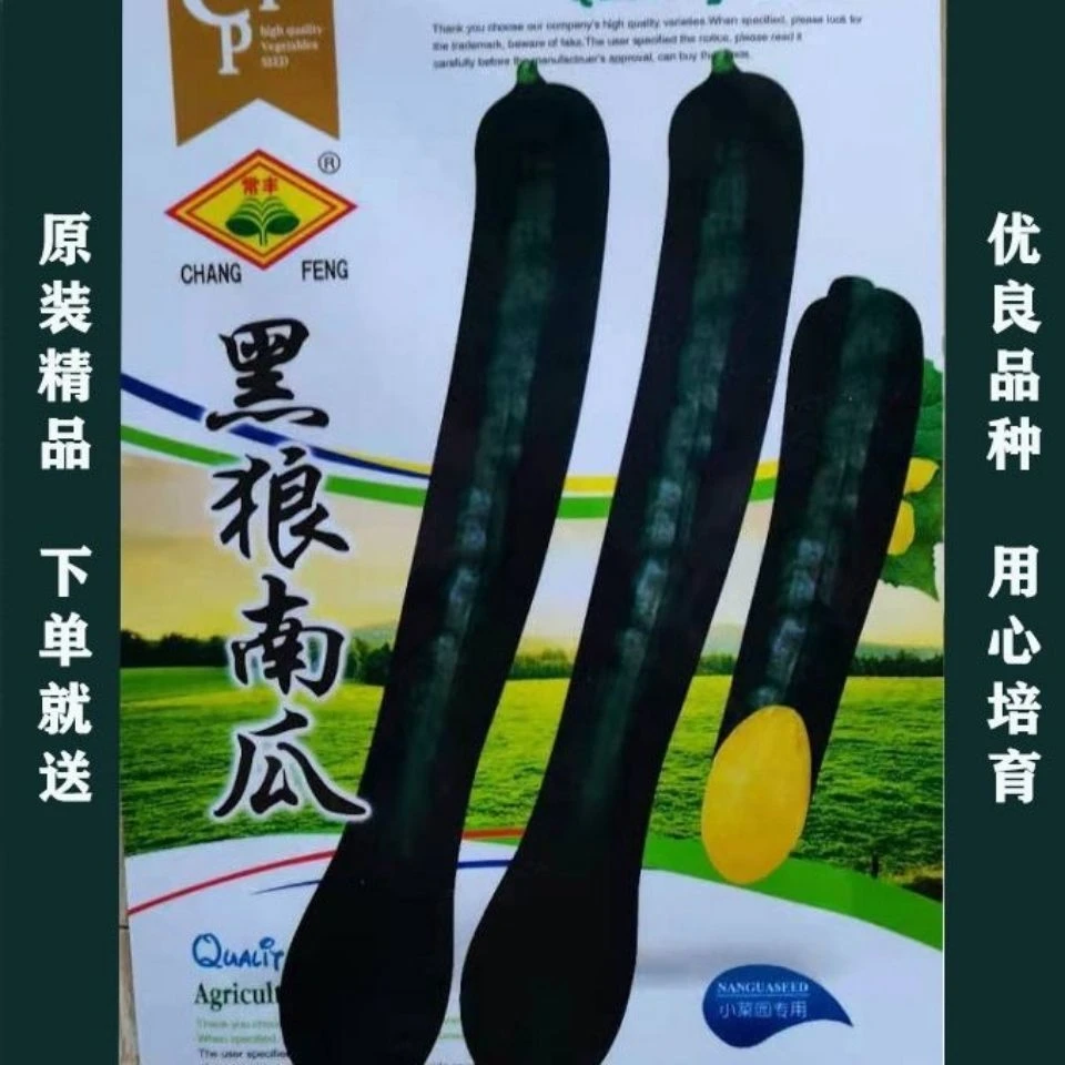 【工厂直发】春季黑长南瓜种子甜面长南瓜籽耐热耐寒高产黑瓜种春种