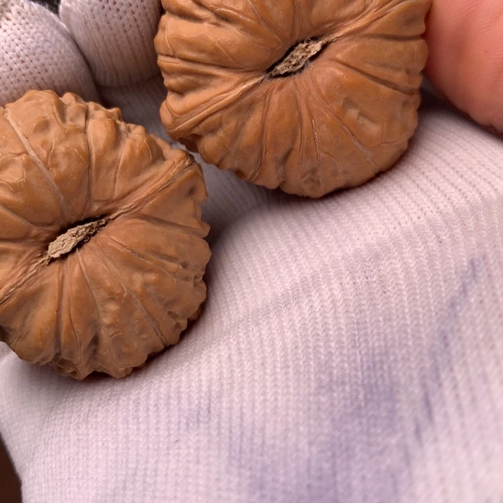 会***-南瓜46块豆腐脑小土豆