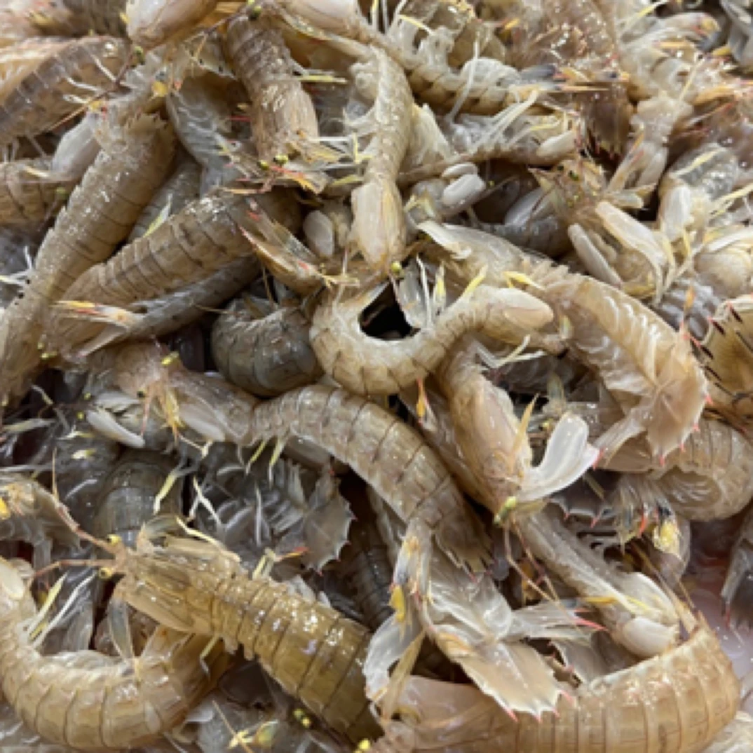 5斤特价小虾姑，规格38只左右一斤