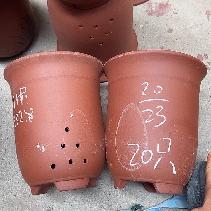 周深周深周深周深周深