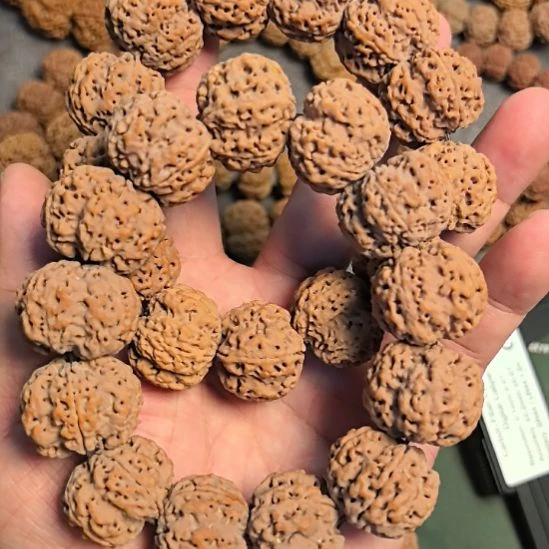 金刚菩提手串五星梅花大金刚手串，25左右，高油高密