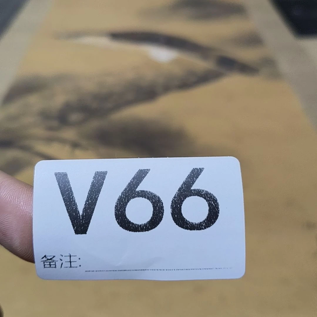 老***卡水彩回流精品字画画