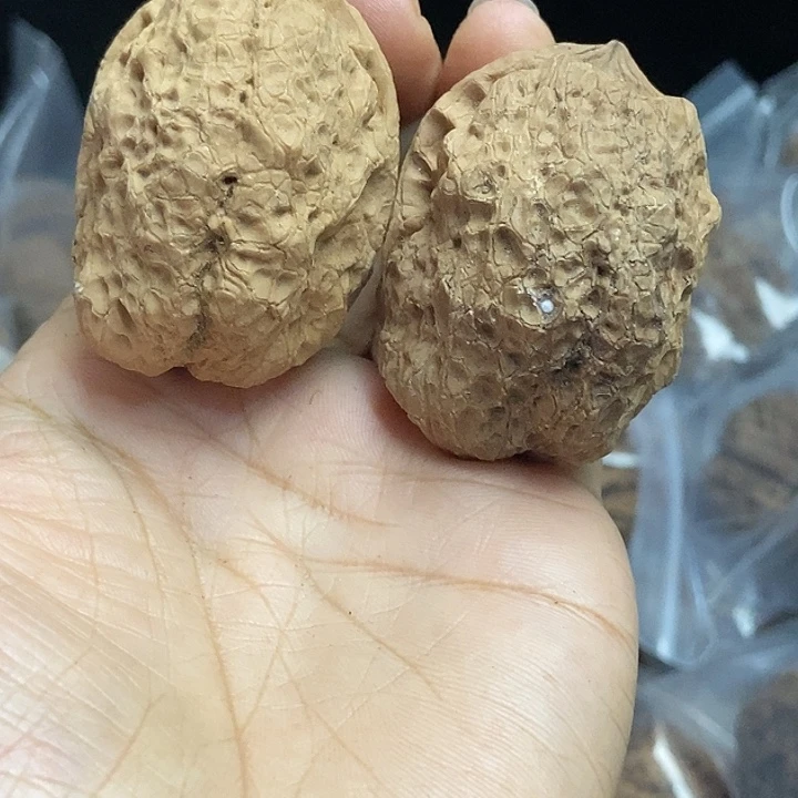 木质类云南铁核桃+71