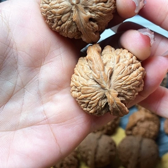 吊坠文玩核桃白狮子