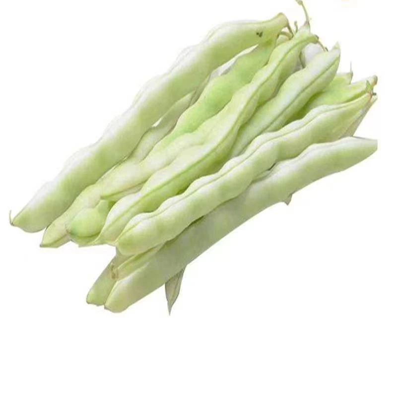 【东胜同城】白豆角