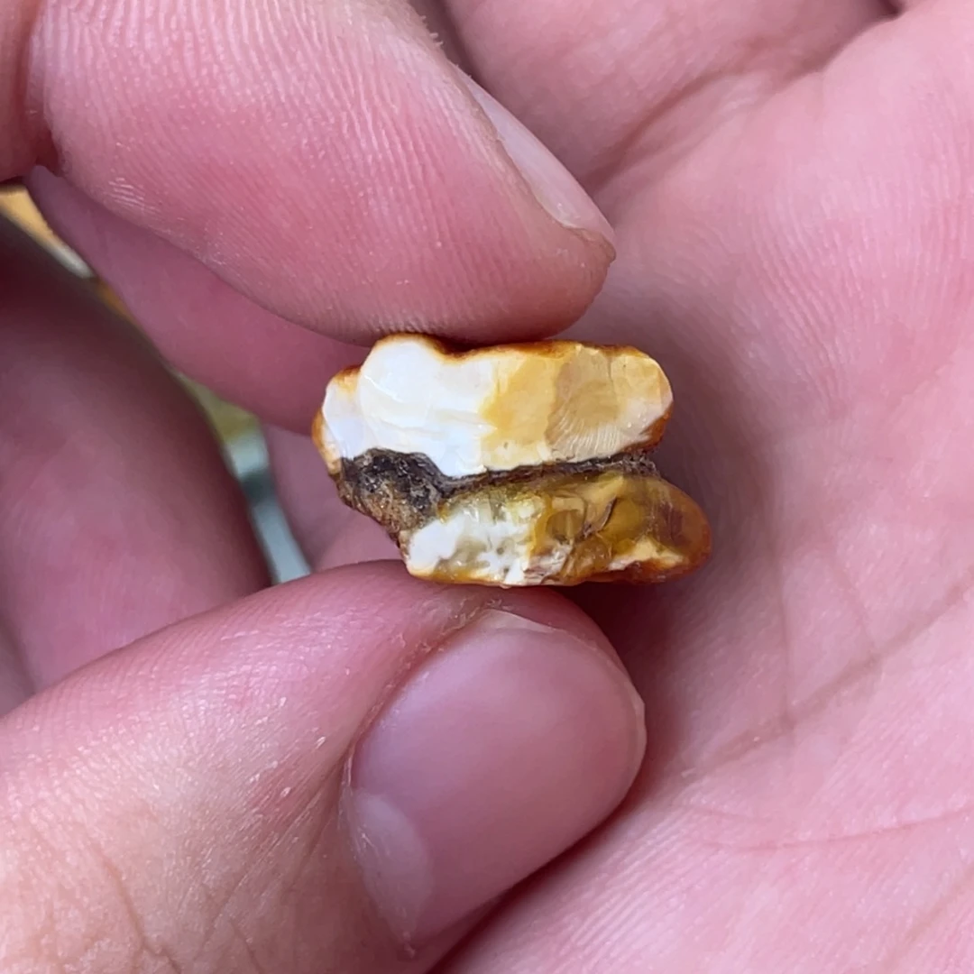 定制琥珀天然琥珀9老型