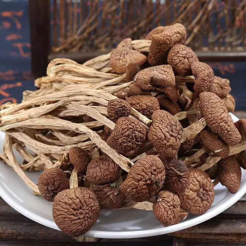 茶树菇干货农家特产食用菌不开伞净重足称无硫新货宁德古田茶树菇