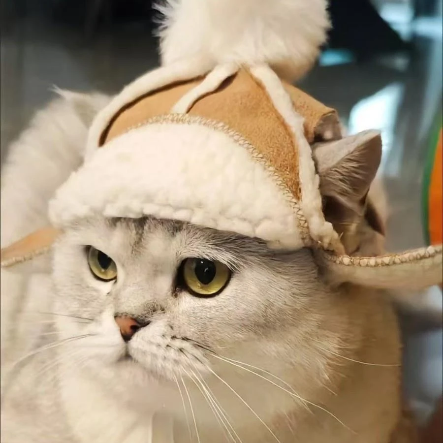 猫咪漏耳朵帽子加绒保暖帽秋冬季宠物狗狗帽子泰迪比熊法斗柴犬