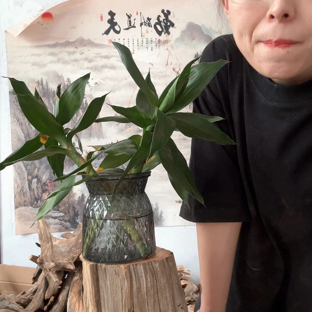 木用****3太行崖柏摆件