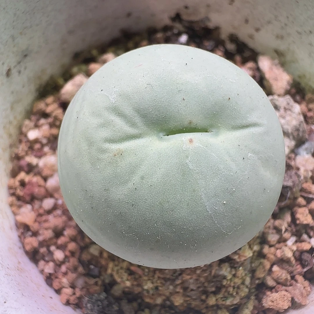 哈哈哈哈哈哈哈。  831