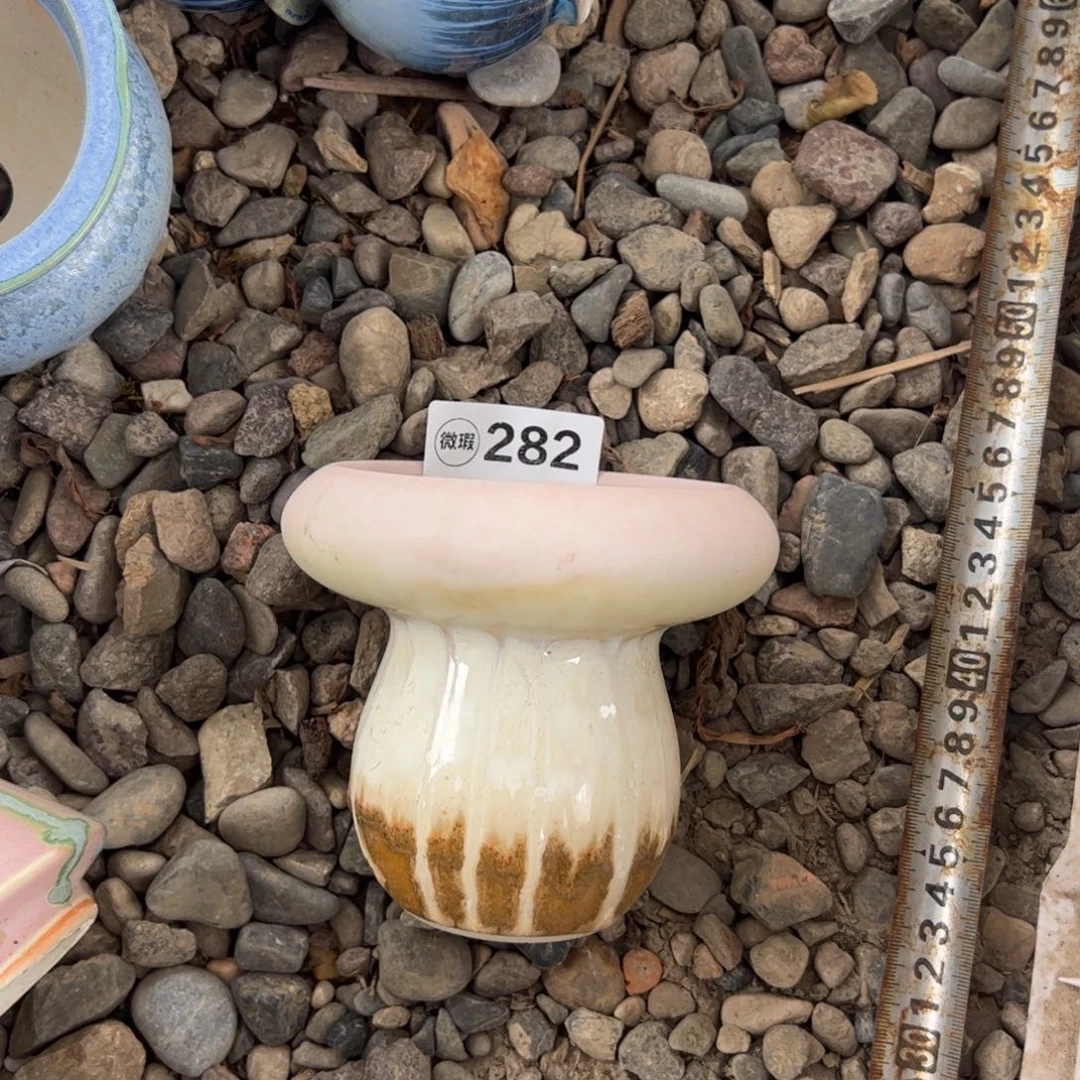 新疆包邮 中号花盆一只
