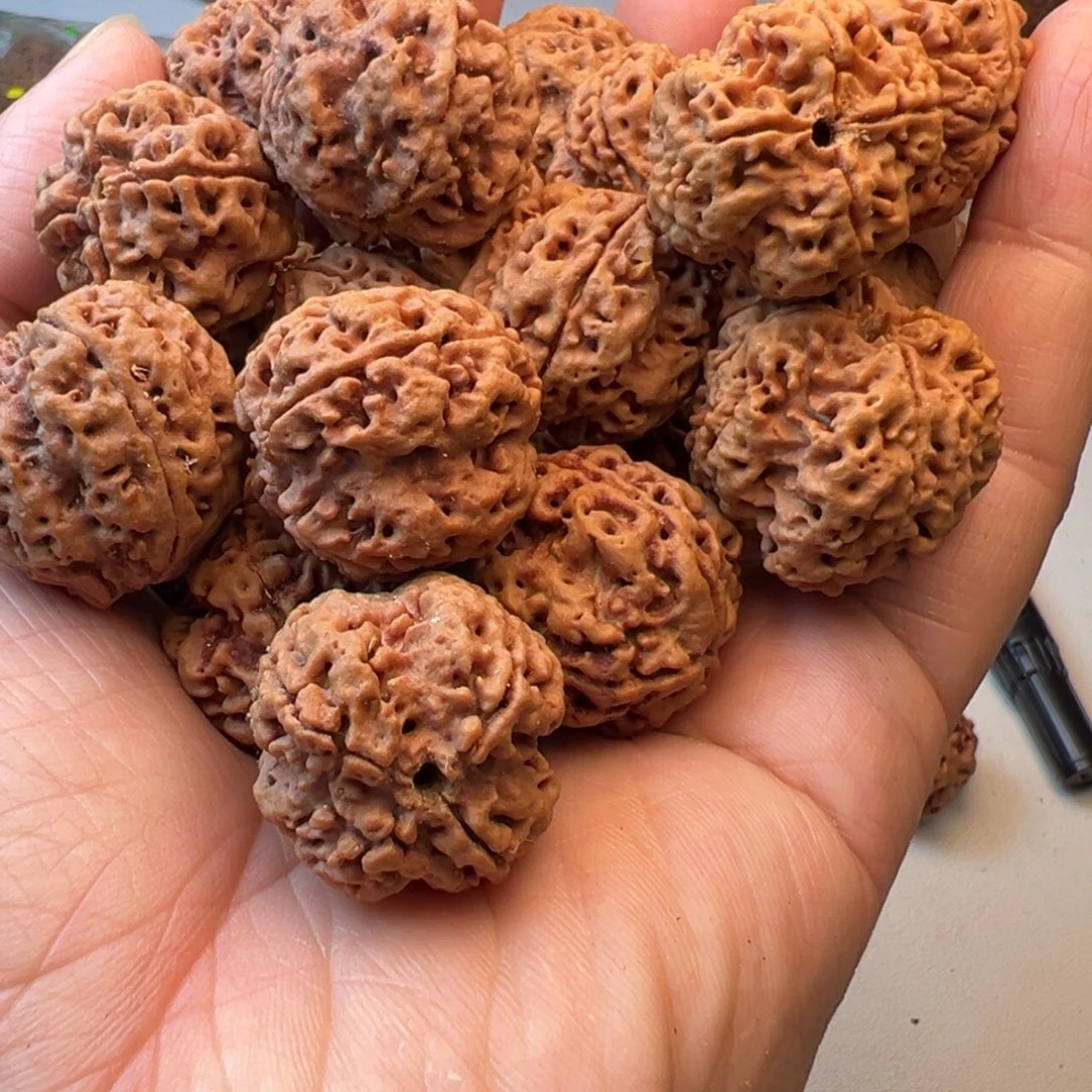 金刚菩提吊坠4瓣23粗筋双龙