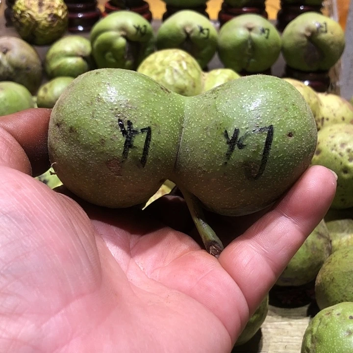 吊坠桃核核桃核桃