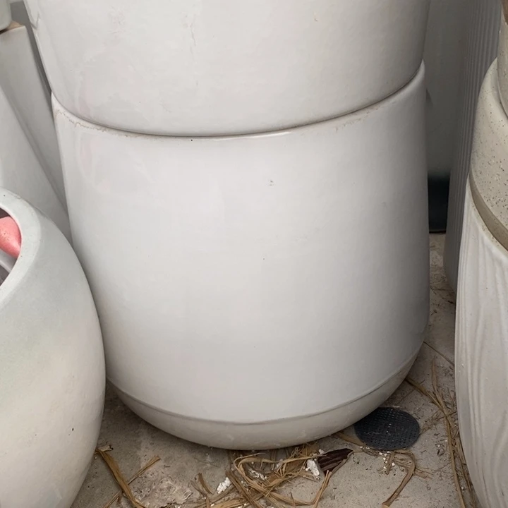 低腰白水滴特大号口38/40