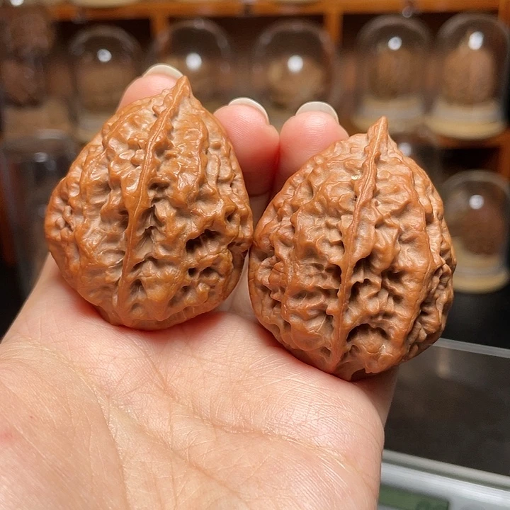 文玩核桃把件蛟龙