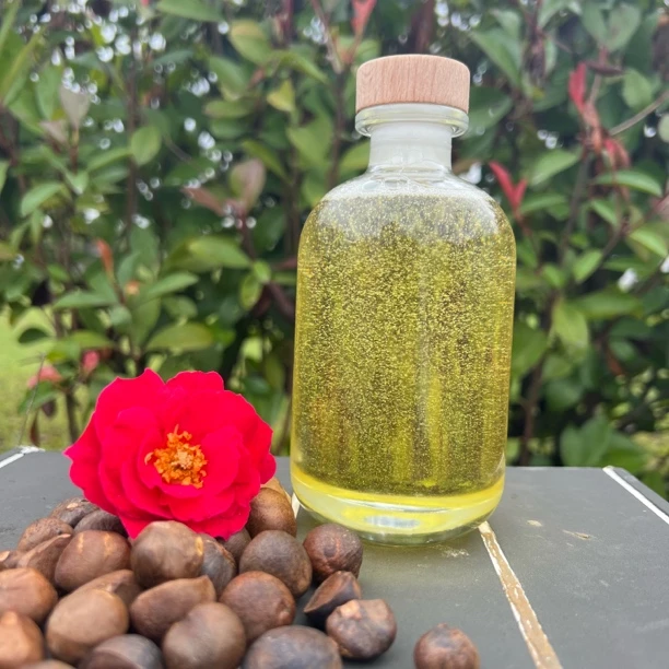 【老树茶油珍珠籽】花果同期真茶油精油不精炼