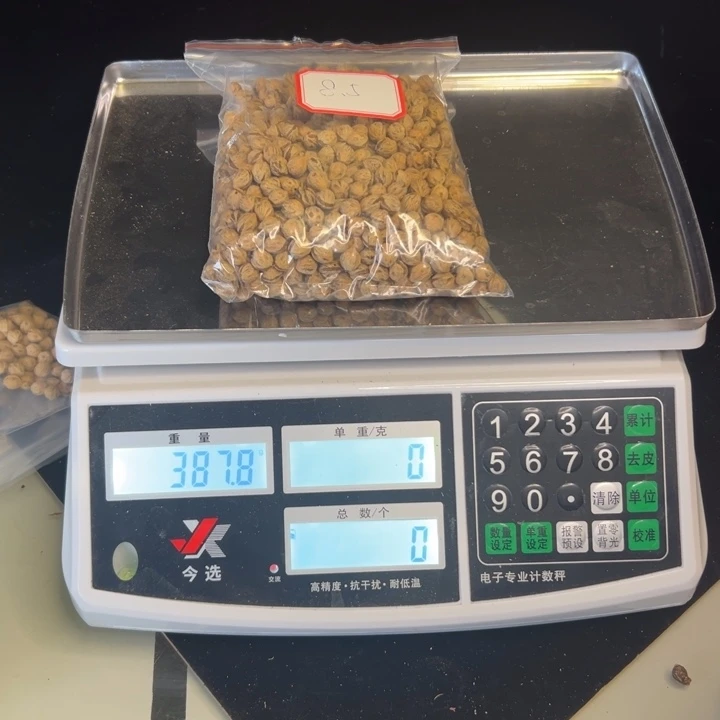 吊坠柏香籽/百香籽